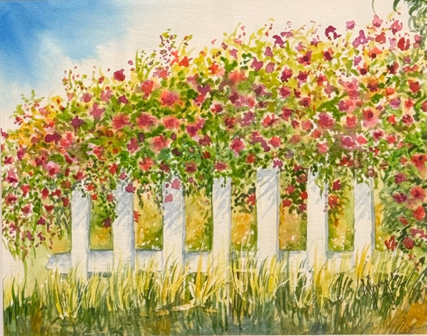 Crimson Blush Over White Picket