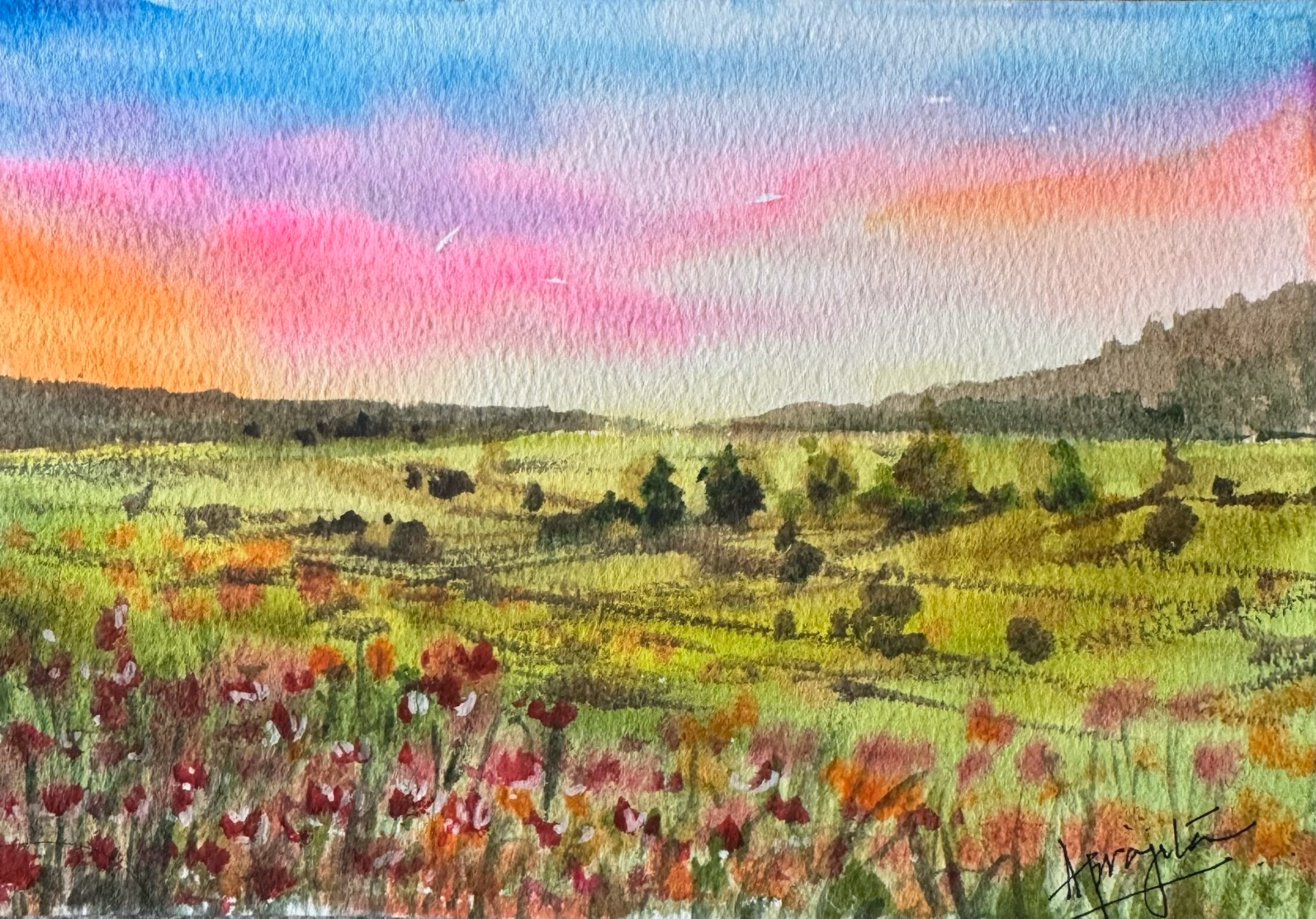 Poppy Field at Dusk