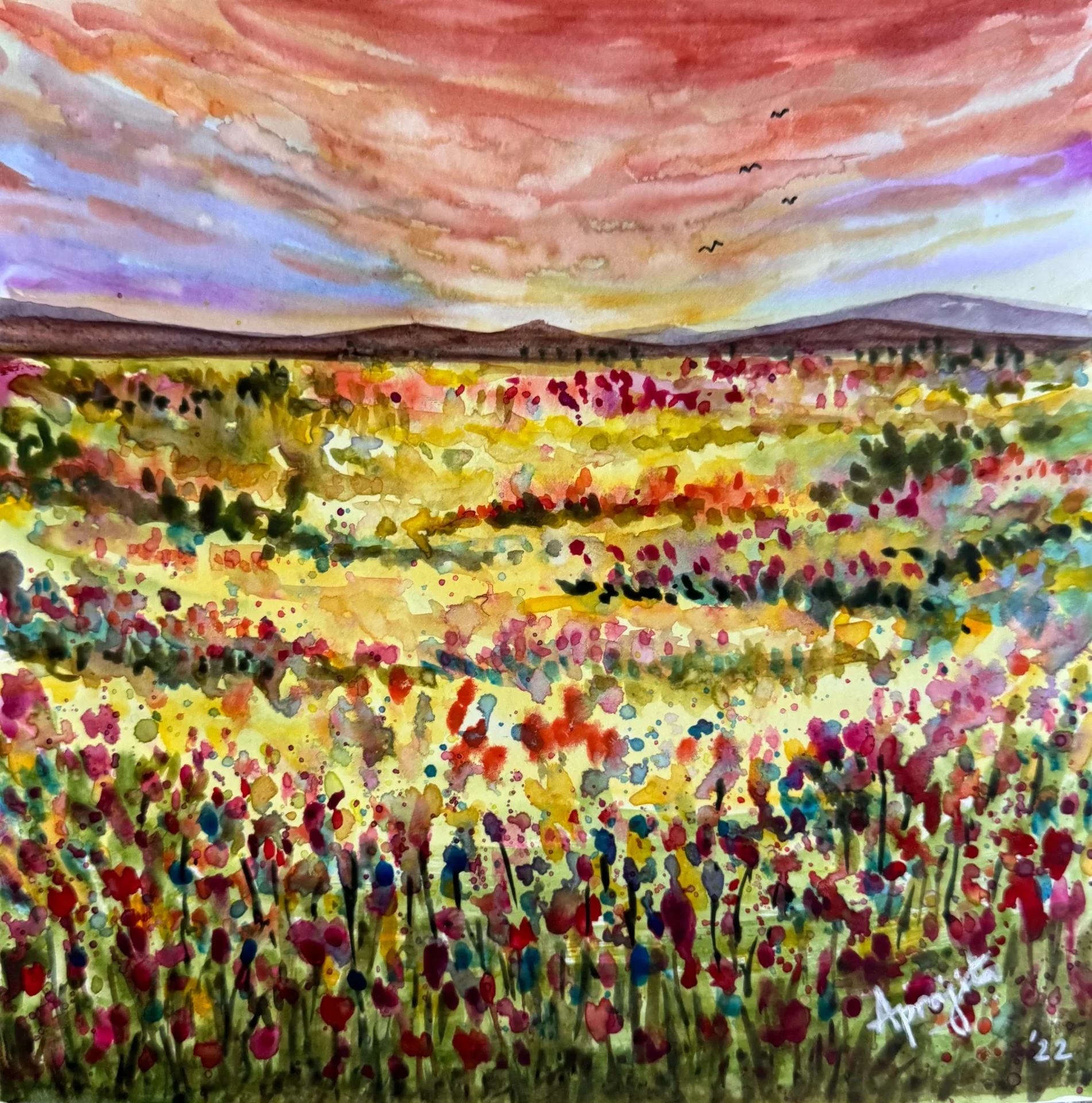 Wild Bloom