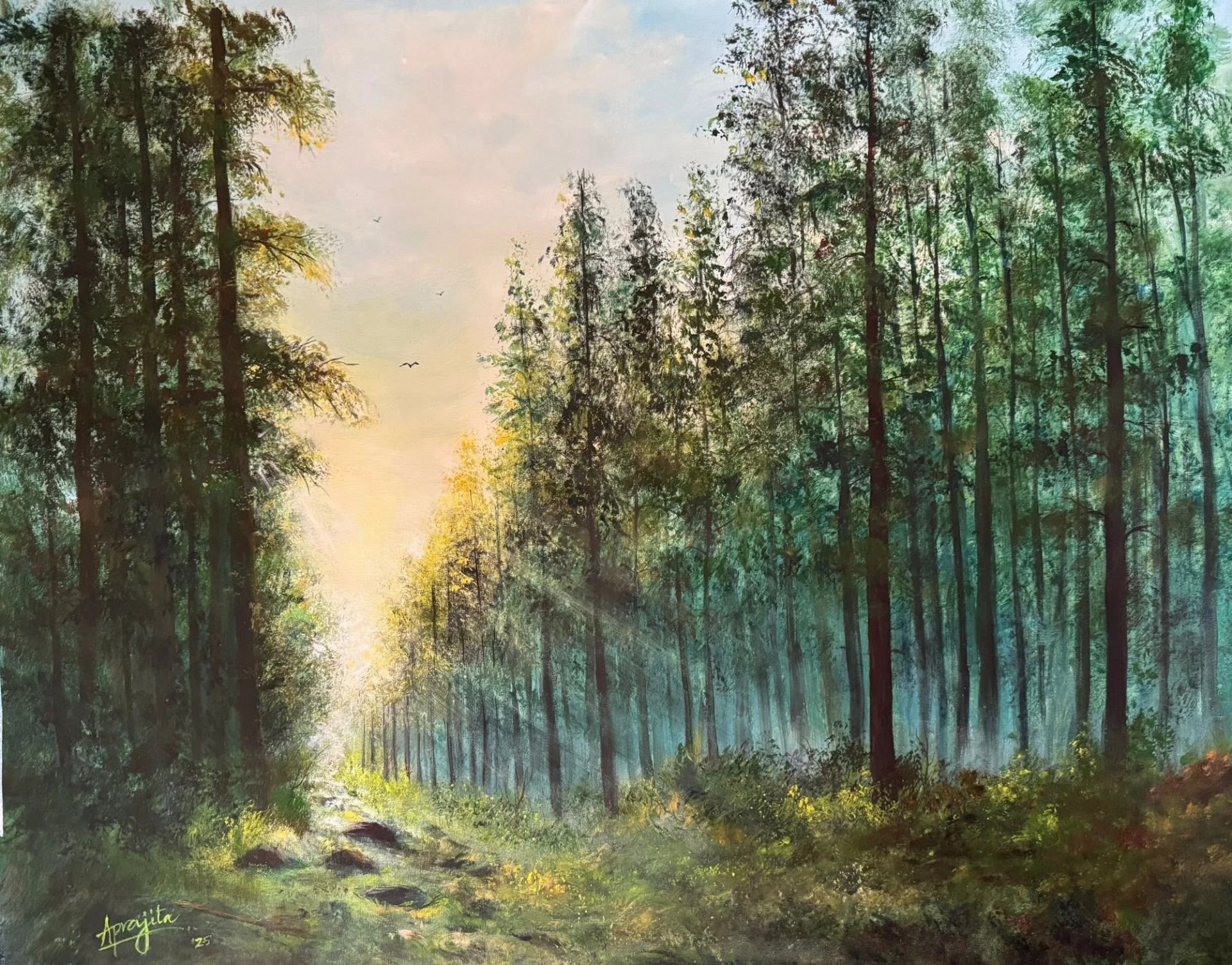 Morning Mist and Sunrays