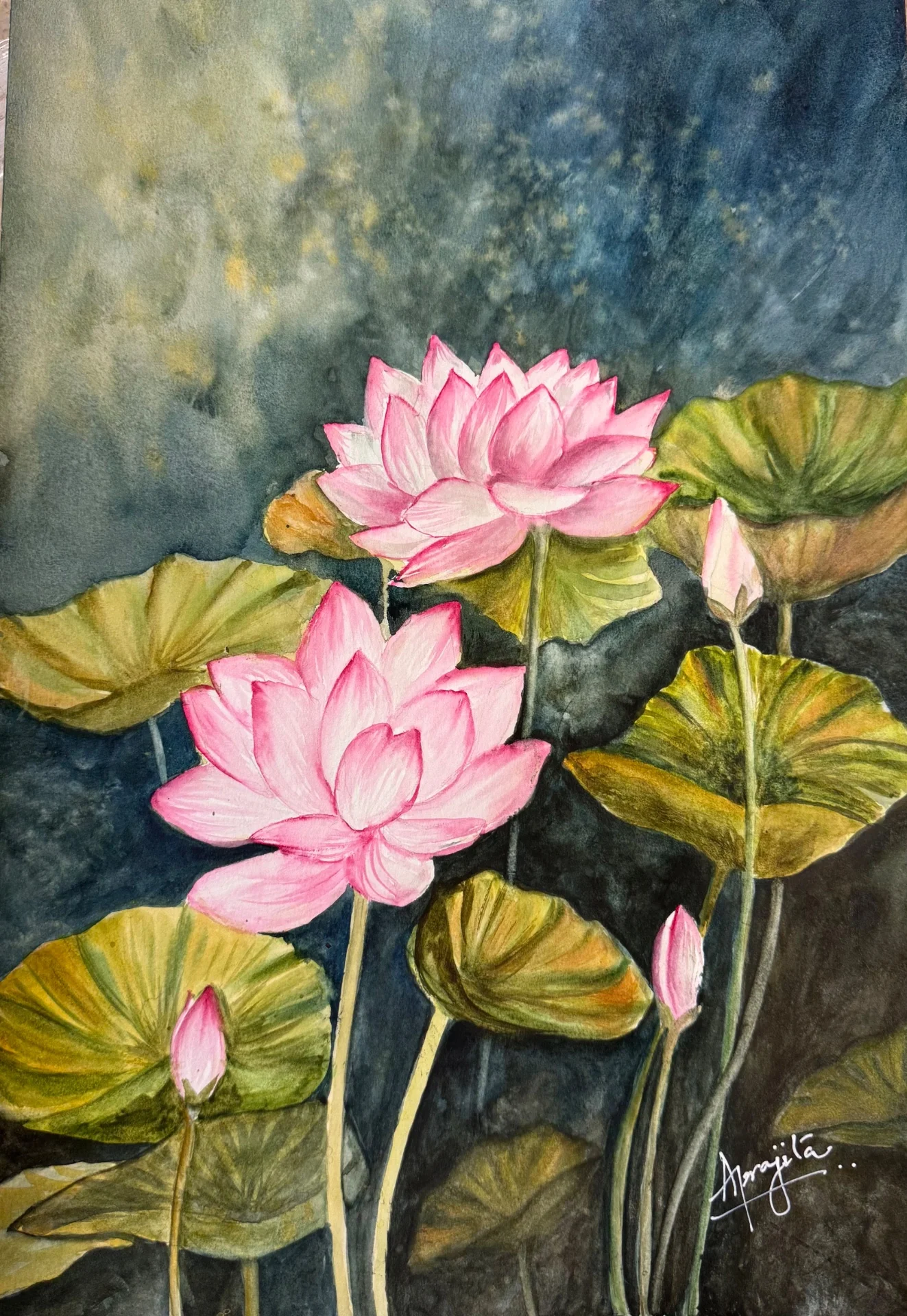 Buds And Blooms