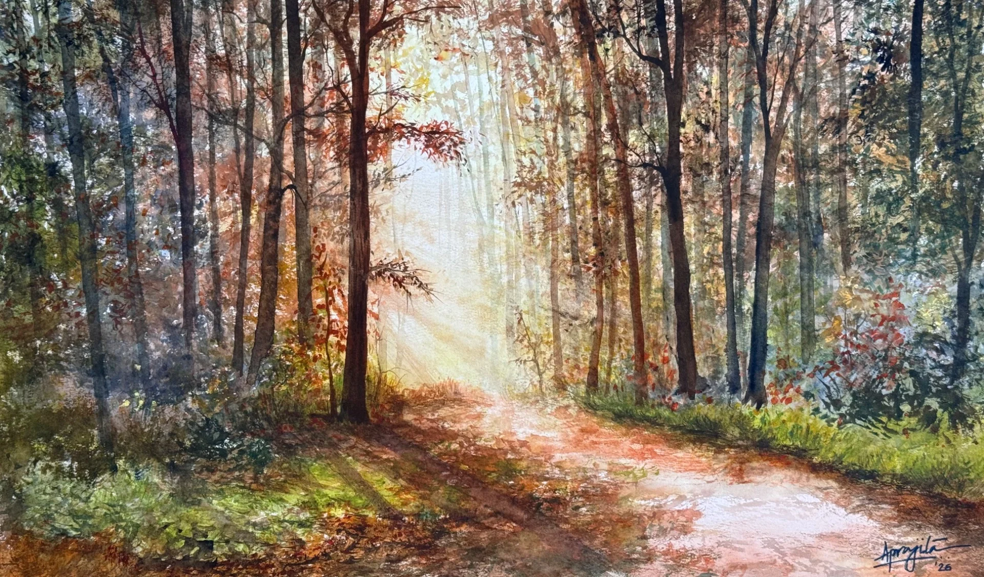A Path In The Woods