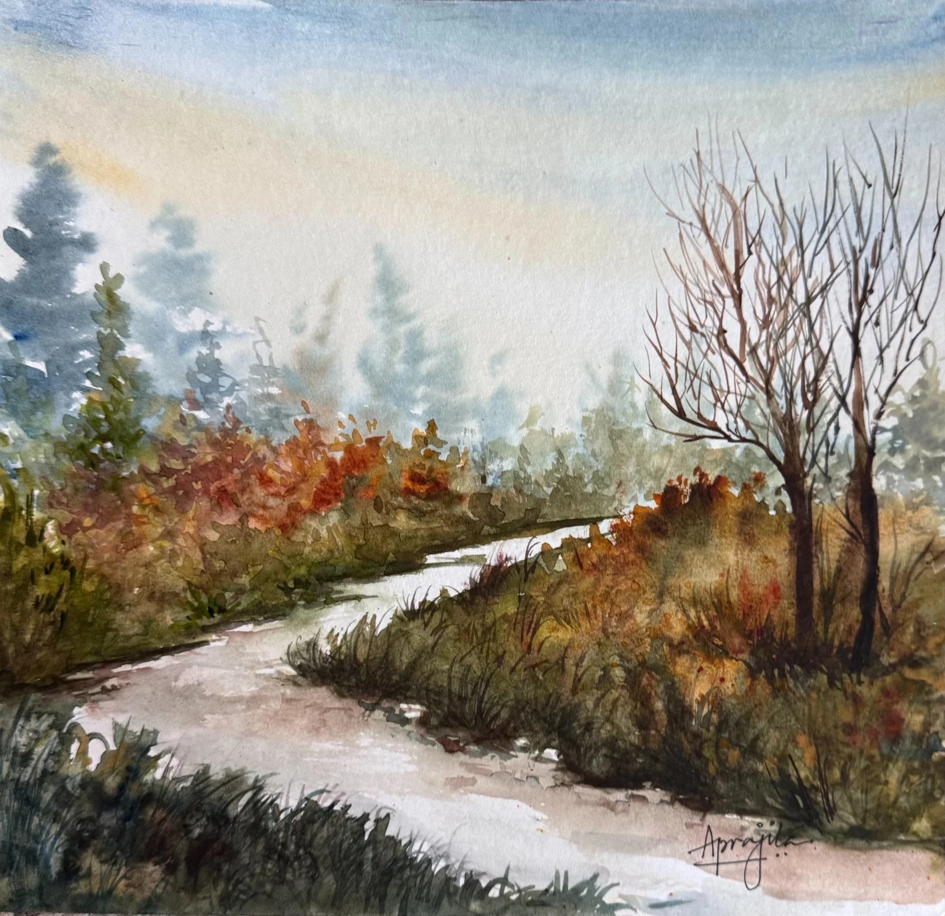 Quiet Trail