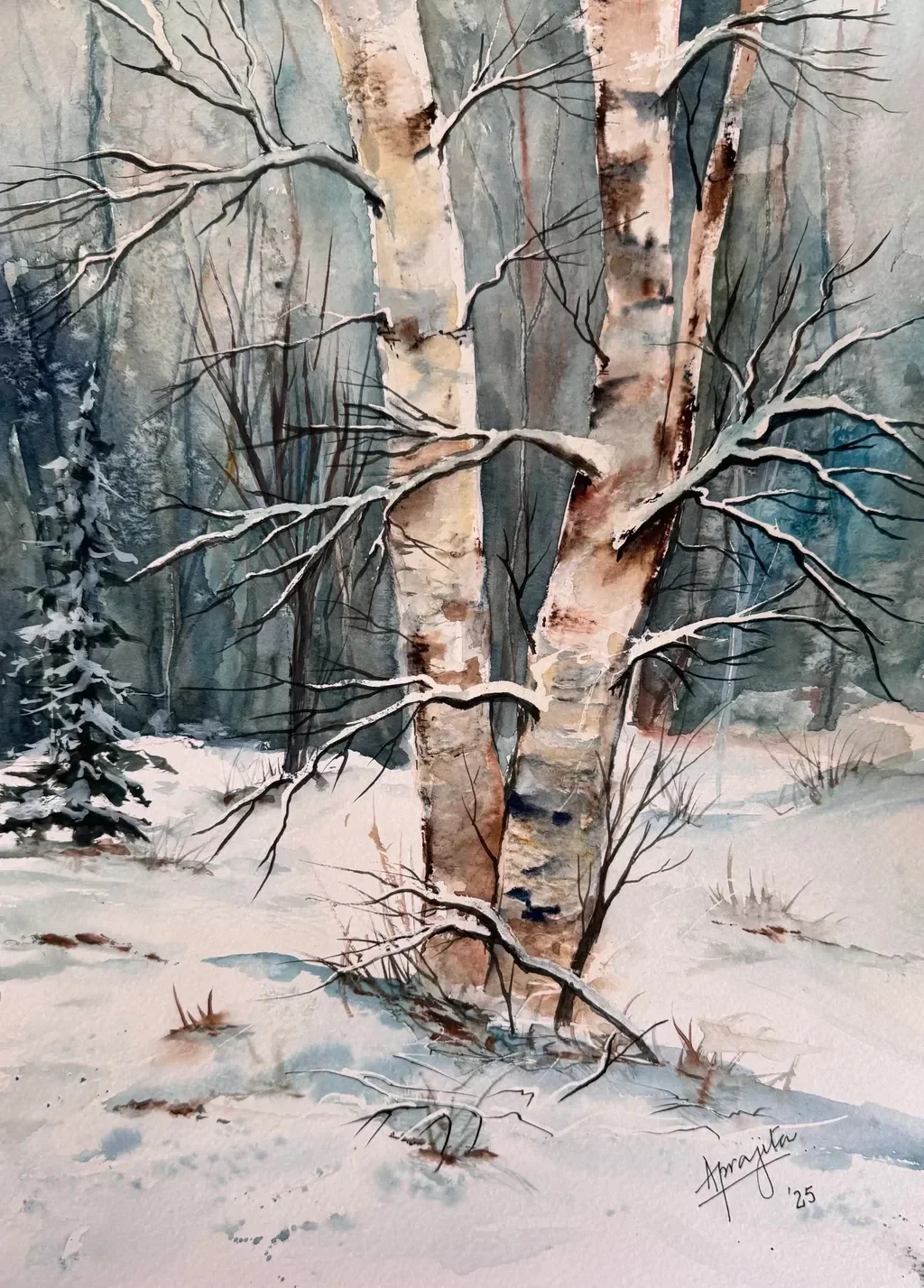 Birches in Snow